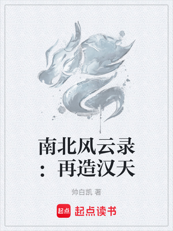 南北风云录：再造汉天封面